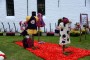 Thumbs/tn_Bloemencorso Noordwijkerhout 116.jpg